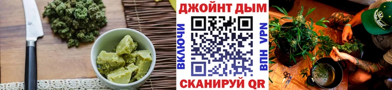 Купить  Сясьстрой  Cannafood конопля 