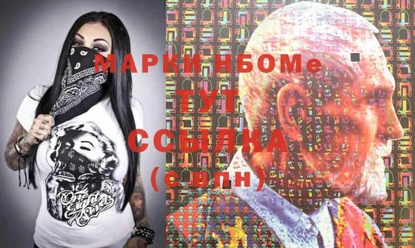гидра Туринск