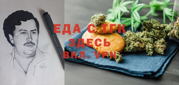 гидра Туринск