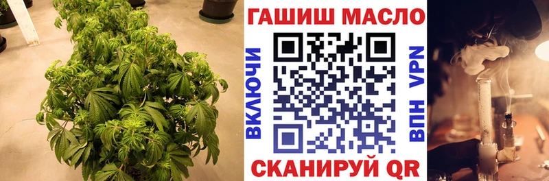 Дистиллят ТГК вейп с тгк  Купить закладки  Сясьстрой 